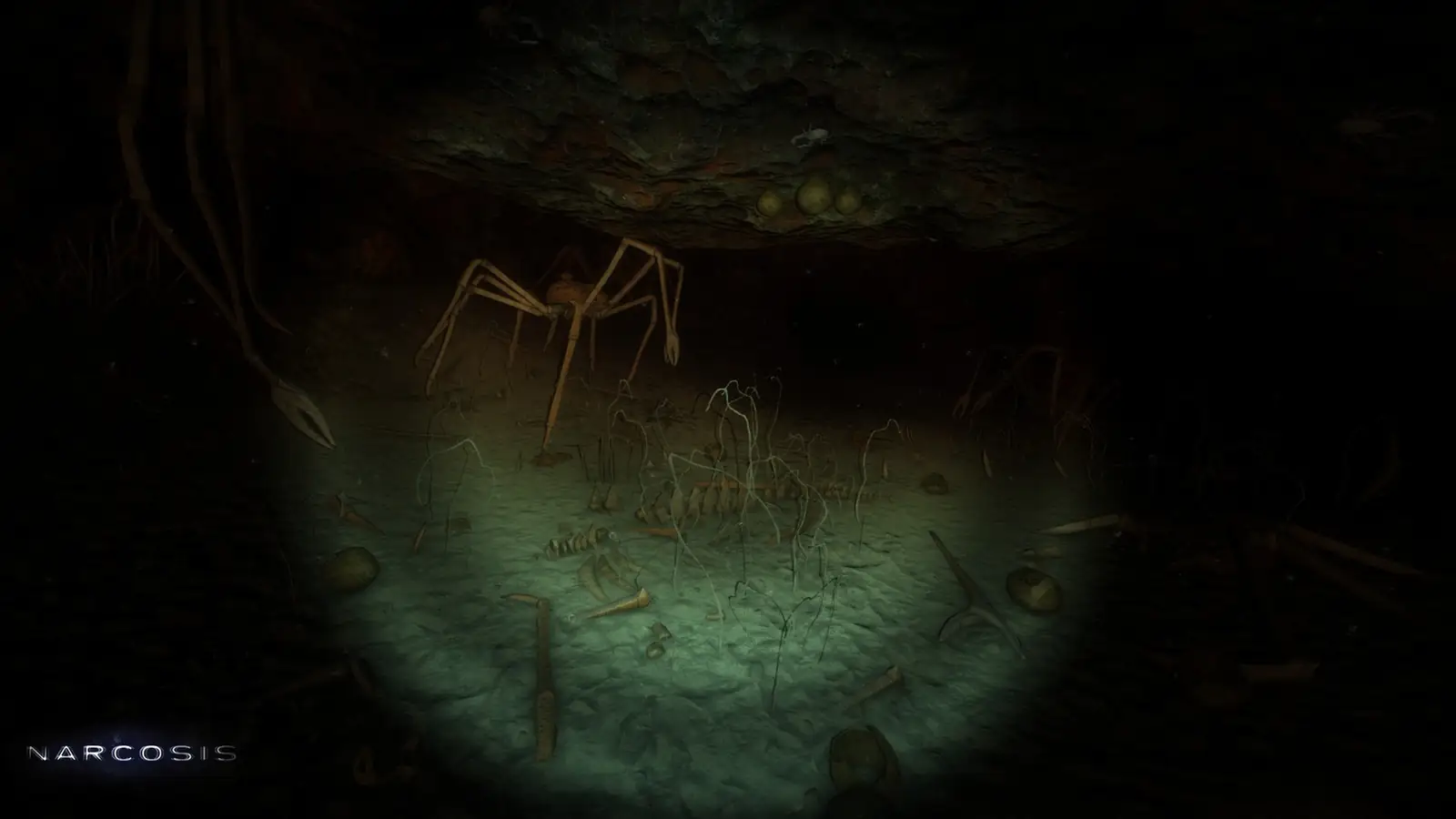 https://erysta-cdn.com/medias/narcosis-wallpaper-4.webp