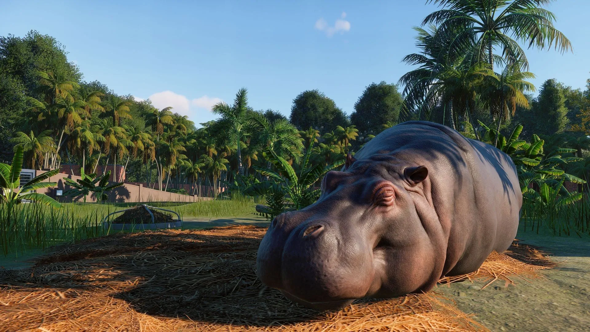 https://erysta-cdn.com/medias/planet-zoo-pc-game-steam-wallpaper-1.webp